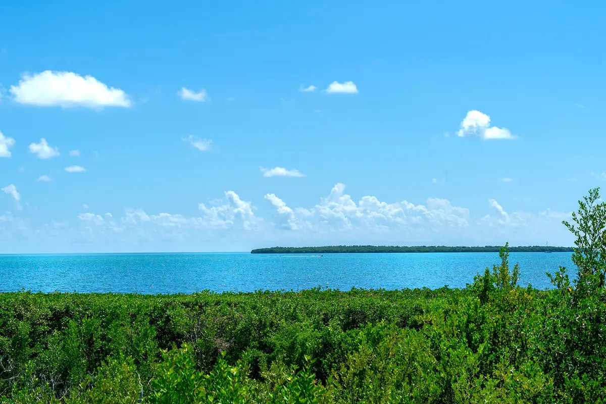 500 Burton Drive #4215, Tavernier, FL 33070 - Image #1