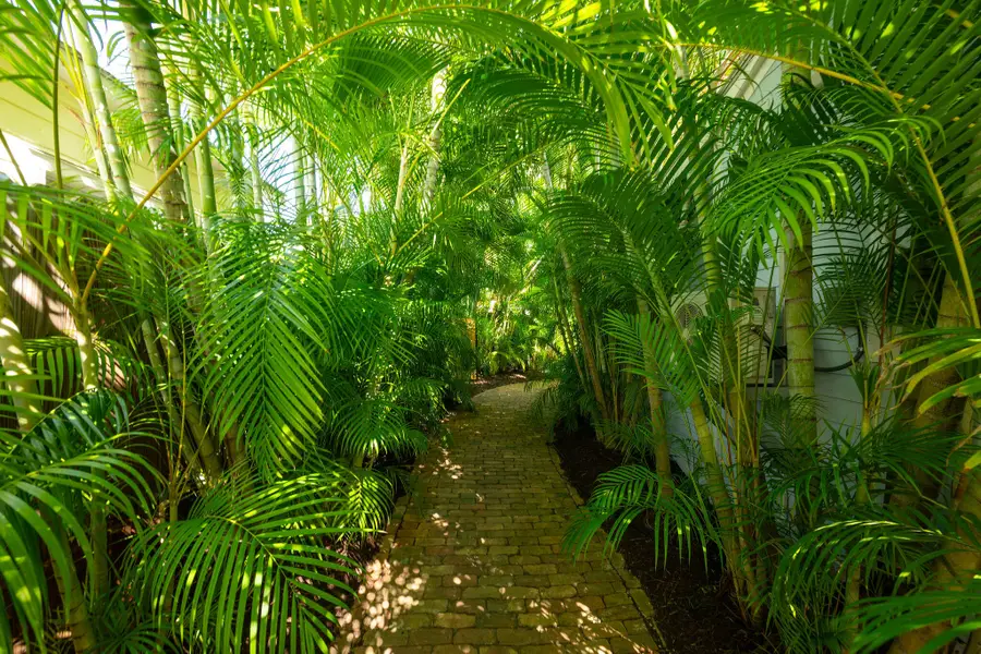 1111 Watson Street #B, Key West, FL 33040 - Image #3