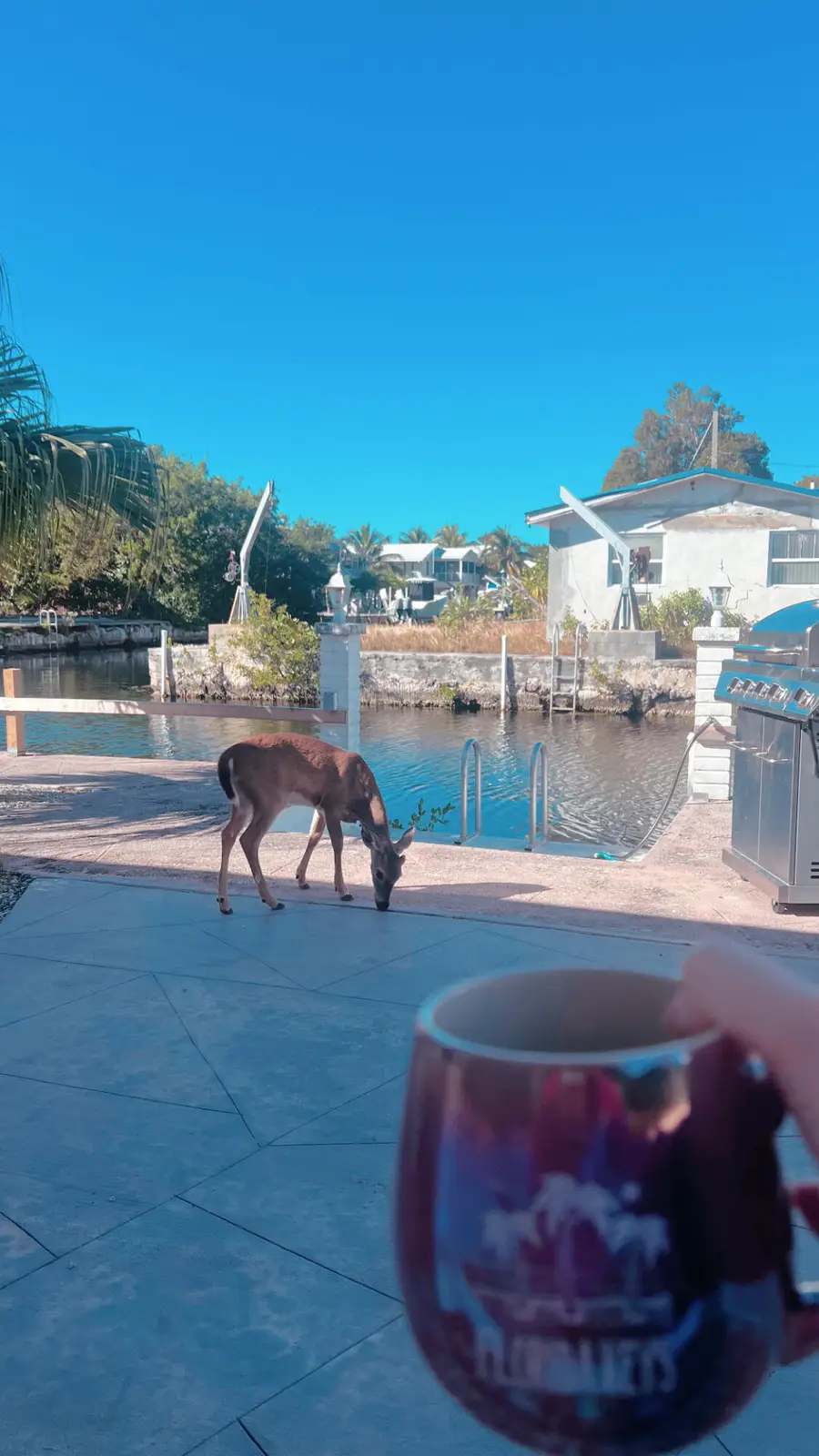 1540 Lantana Lane, Big Pine Key, FL 33043 - #2