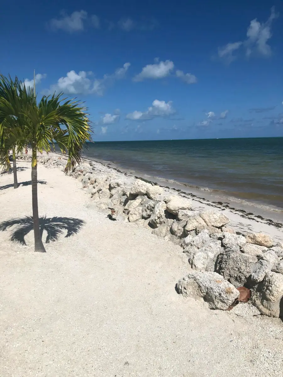 135 Coco Plum Drive #APT 3B, Marathon, FL 33050 - #3