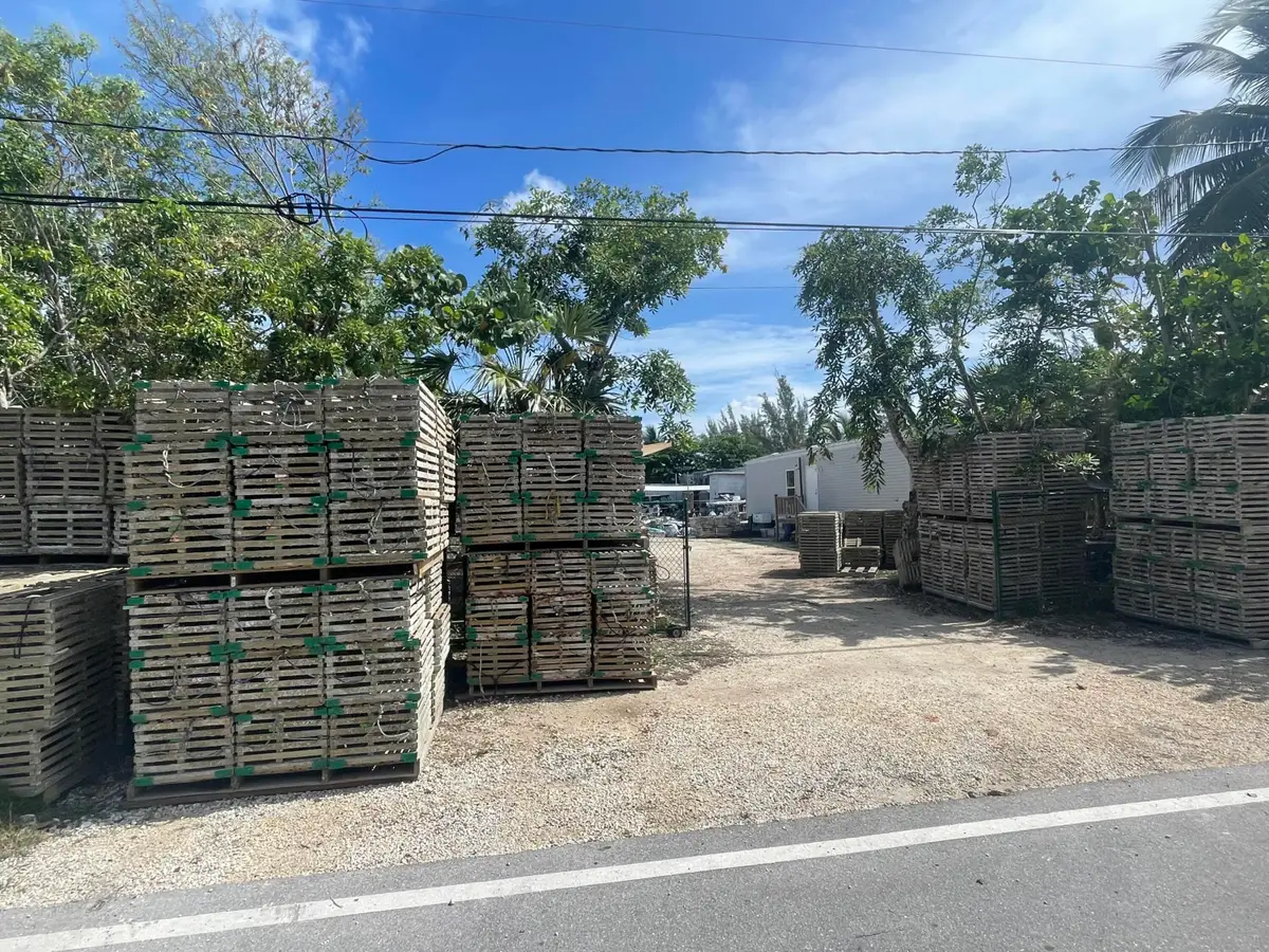 29517 Big Pine Street, Big Pine Key, FL 33043 - #1