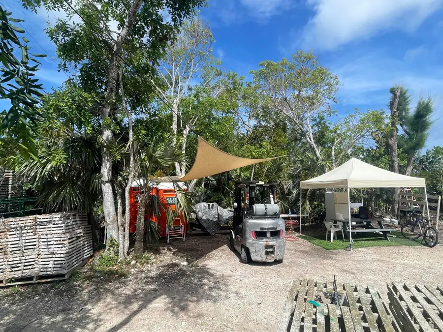 29517 Big Pine Street, Big Pine Key, FL 33043 - #3