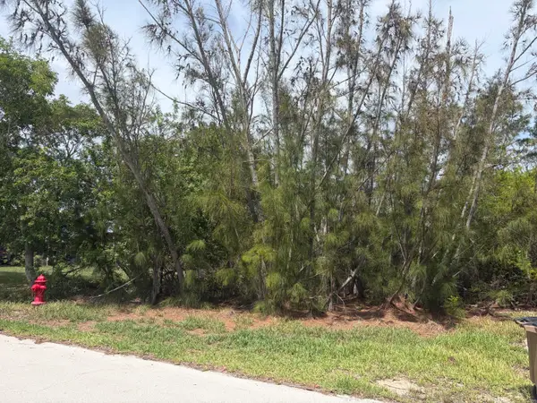 0 Lobstertail Road, Big Pine Key, FL 33043