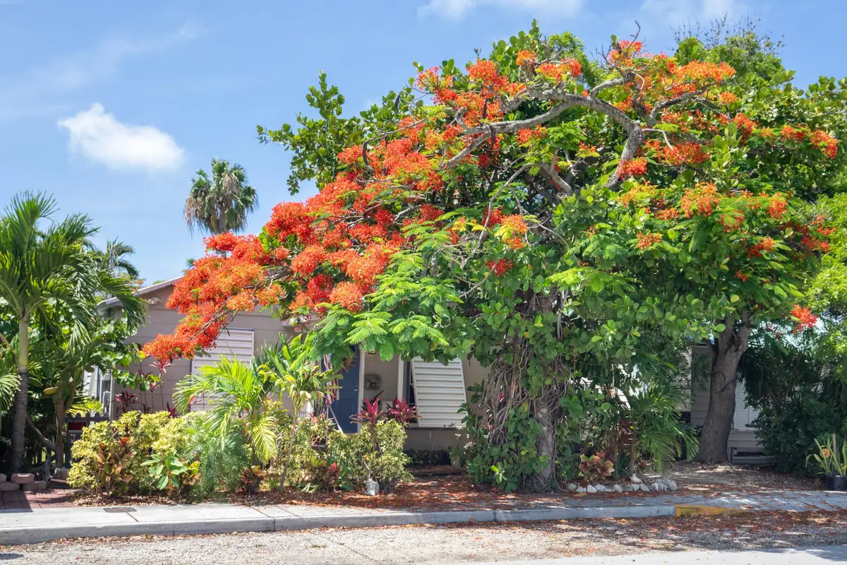 3712 Duck Avenue, Key West, FL 33040 - #1