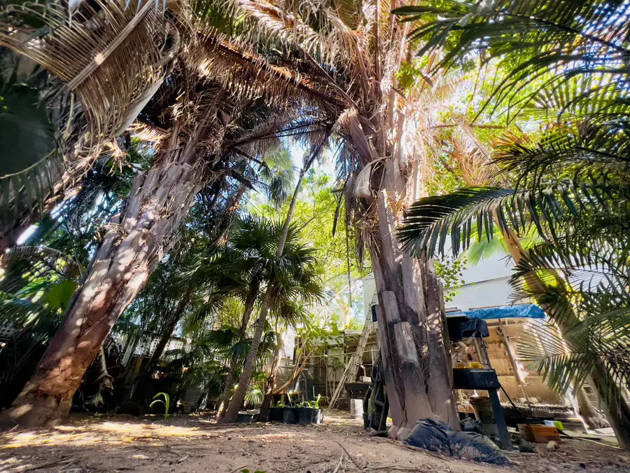 511 Tabby Lane, Key West, FL 33040 - #3