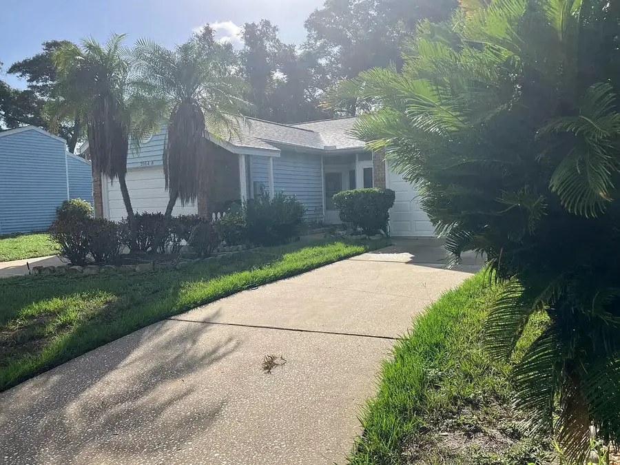 3164 Claremont Place #APT A, Palm Harbor, FL 34683 - #2