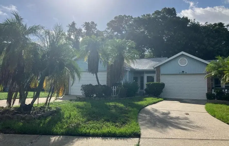 3164 Claremont Place #APT A, Palm Harbor, FL 34683 - #3