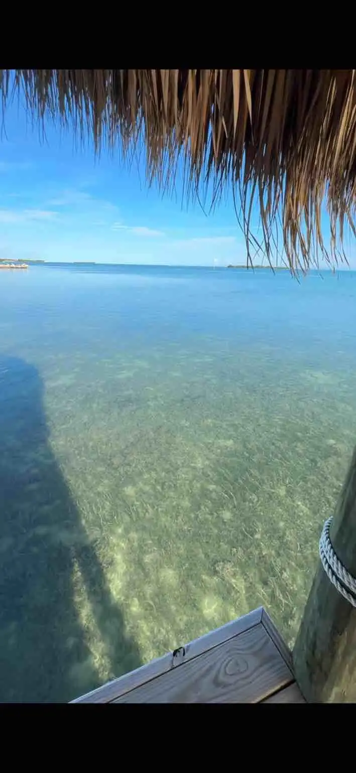 77481 Overseas Highway, Islamorada, FL 33036 - #2