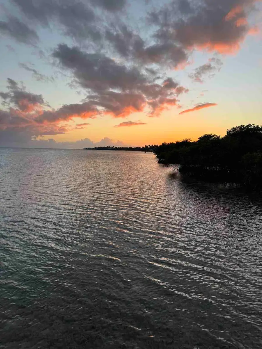 77481 Overseas Highway, Islamorada, FL 33036 - #3