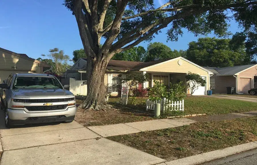 3864 Regent Drive, Palm Harbor, FL 34683 - #2