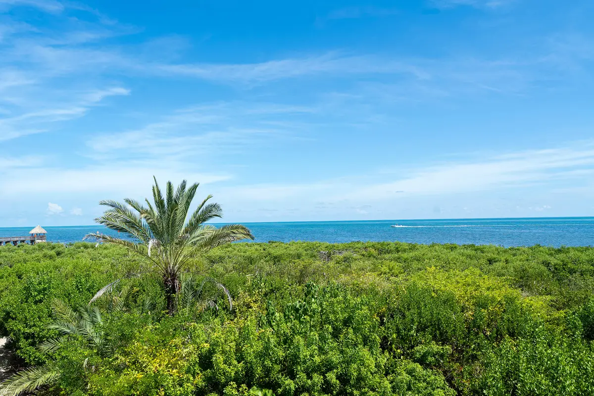 500 Burton Drive #4207, Tavernier, FL 33070 - #1