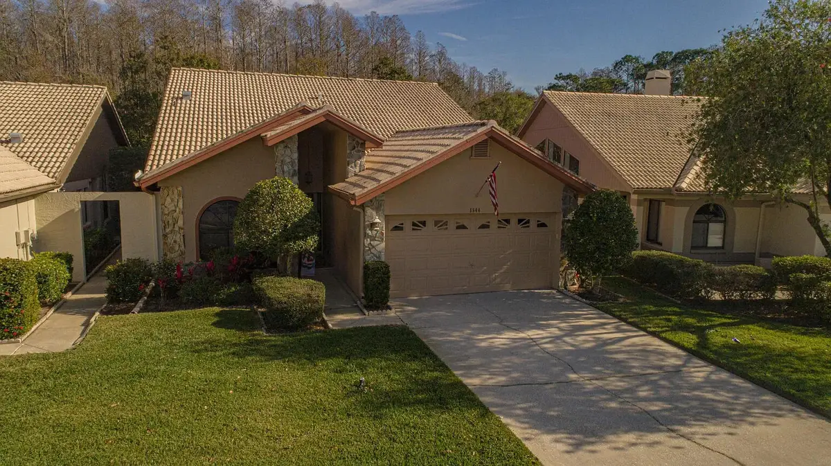 5544 Greyston Street, East Lake, FL 34683 - #1