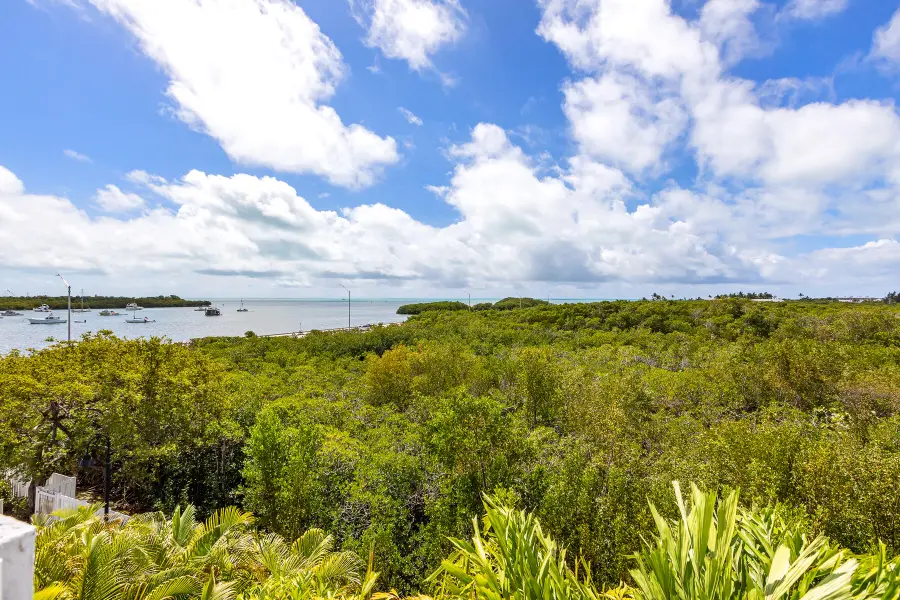 37 Seaside South Court, Key West, FL 33040 - #3