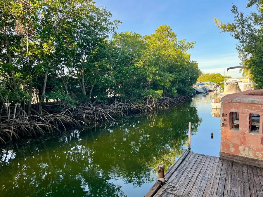 5 Hilton Haven Drive, Key West, FL 33040 - #2