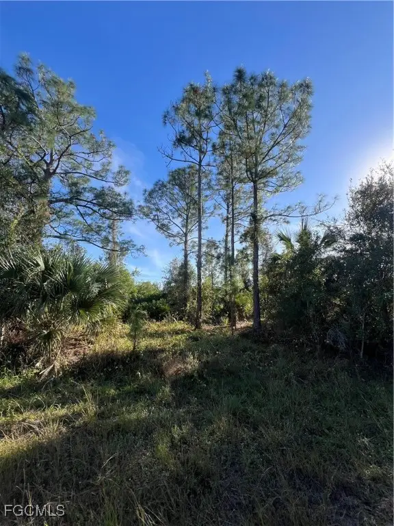 900 E 9th Street, Lehigh Acres, FL 33972 - Image #2