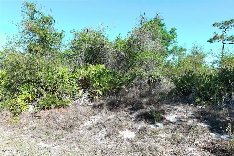 29242 Defiance Avenue, Punta Gorda, FL 33982 - #3