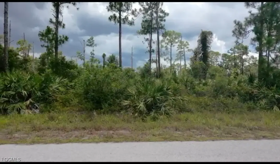 916 Monroe Avenue, Lehigh Acres, FL 33972 - Image #1