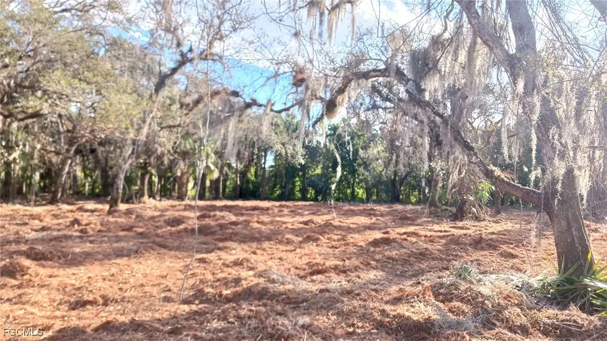 16470 B1 Daughtreys Creek Road, North Fort Myers, FL 33917 - Image #1