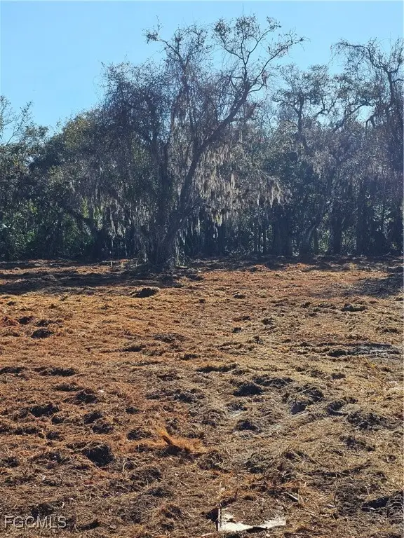 16470 B1 Daughtreys Creek Road, North Fort Myers, FL 33917 - Image #2