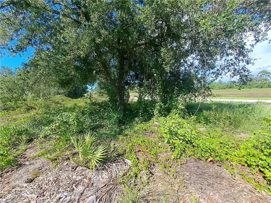 330 S Cabbage Palm Street, Clewiston, FL 33440 - Image #2