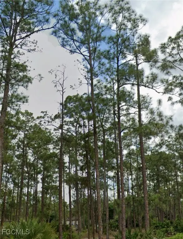 1442 Lincoln Avenue, Lehigh Acres, FL 33972 - Image #2