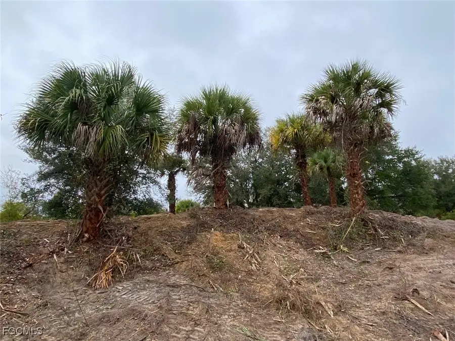 20018 NW 284th Street, Okeechobee, FL 34972 - Image #3