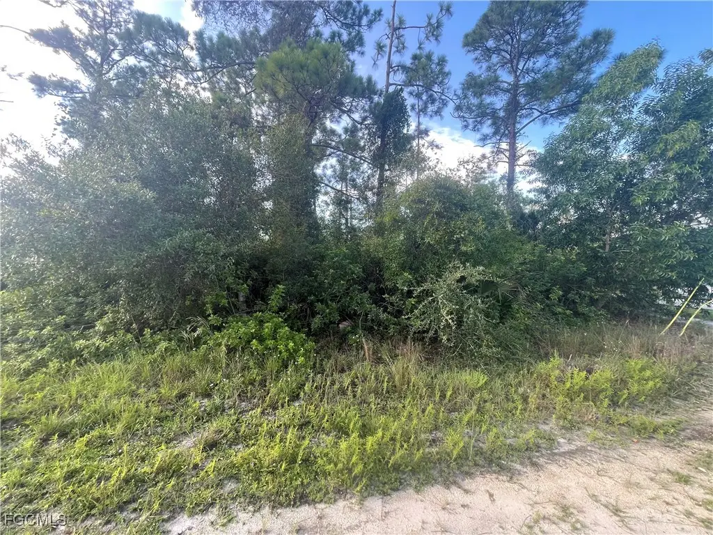 1804 Dewitt Avenue N, Lehigh Acres, FL 33971 - #1