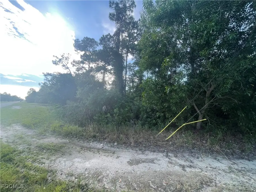 1804 Dewitt Avenue N, Lehigh Acres, FL 33971 - #2