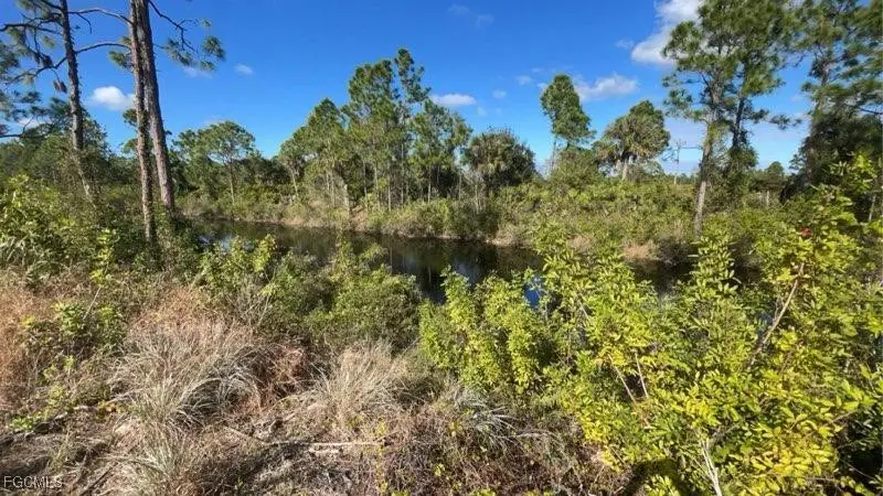 637 Wilmington Parkway, Cape Coral, FL 33993 - Image #2