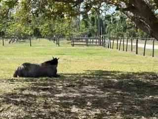 13300 Morningstar Lane, Bokeelia, FL 33922