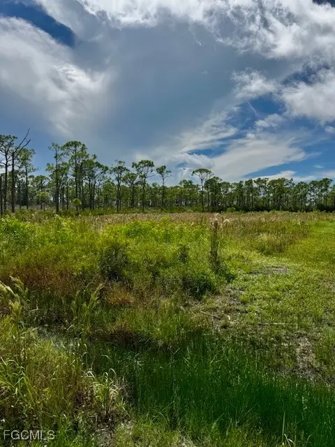 3621 Pink Ibis Drive, Saint James City, FL 33956 - Image #3