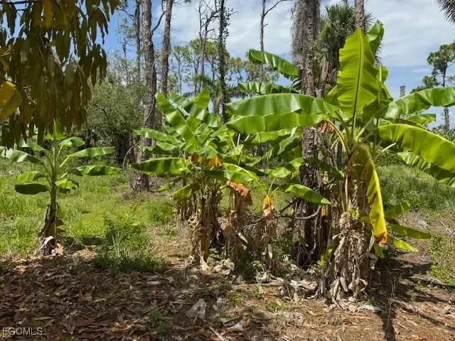 5431 Gamebird Lane, Bokeelia, FL 33922 - Image #2