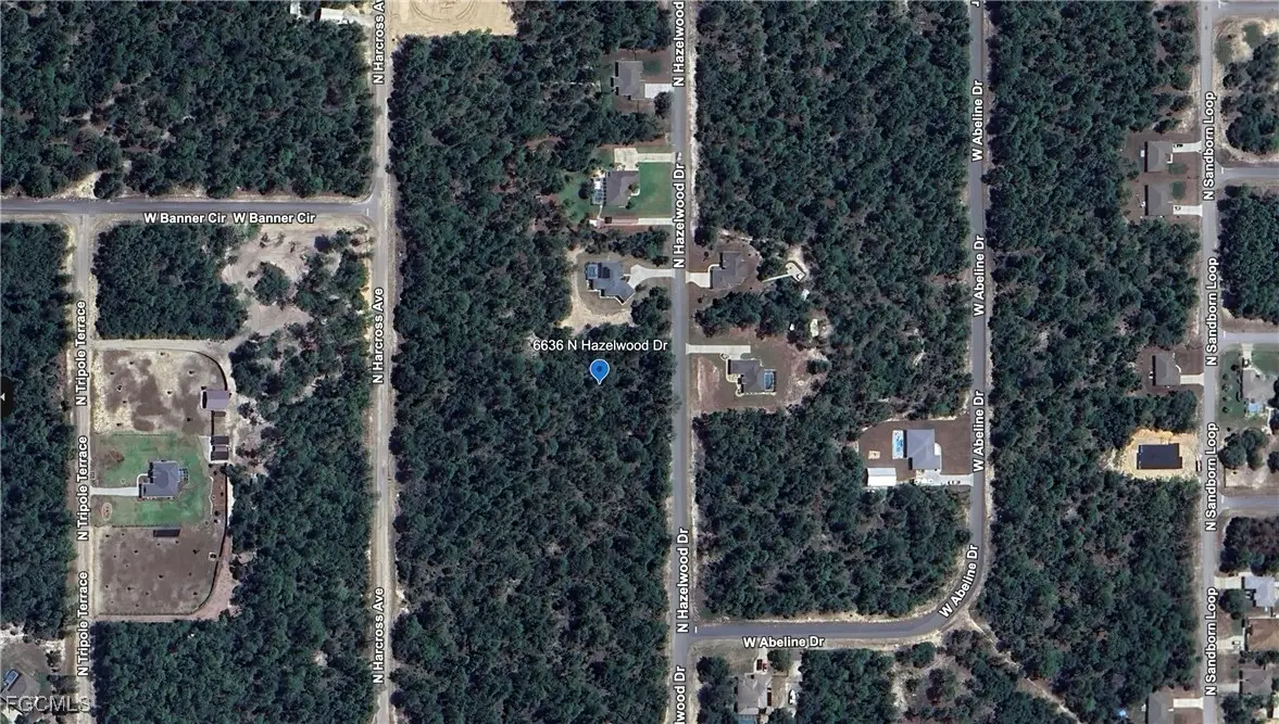 6636 N Hazelwood Drive, Citrus Springs, FL 34433 - Image #1
