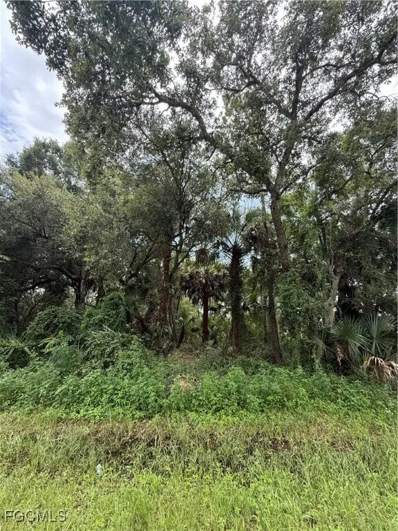 390 Hunting Club Avenue, Clewiston, FL 33440 - Image #3