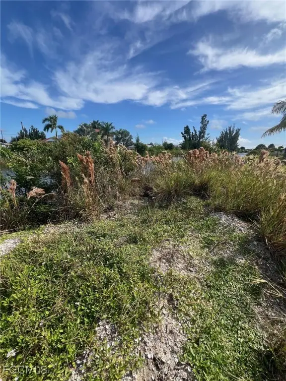 2839 NW 6th Street, Cape Coral, FL 33993 - #3