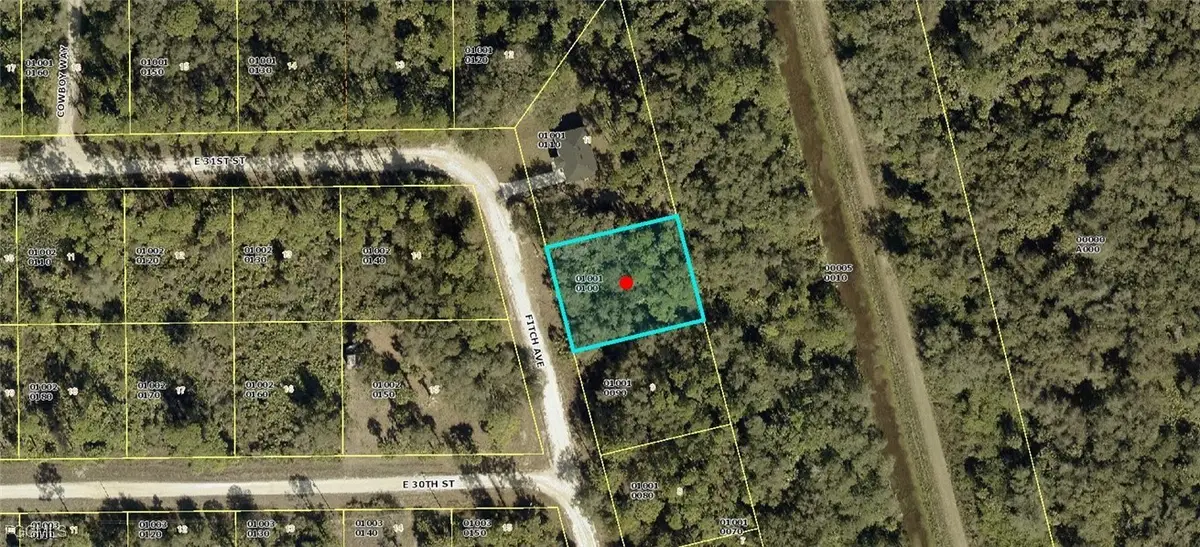 3002 Fitch Avenue, Alva, FL 33920 - Image #1
