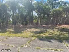 307 S Nancy Lane, Labelle, FL 33935 - Image #3