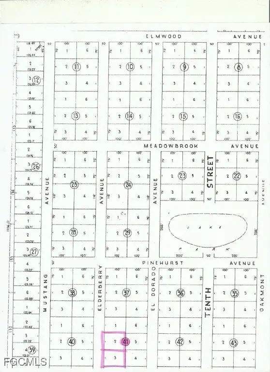 209 Elderberry Avenue Nw, Moore Haven, FL 33471 - Image #2