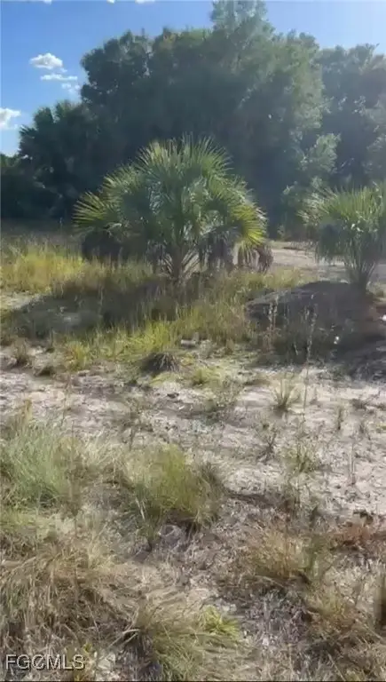 4628 Laura Avenue N, Lehigh Acres, FL 33971 - Image #3