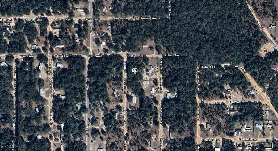 7185 Radcliffe Street, Keystone Heights, FL 32656 - #2