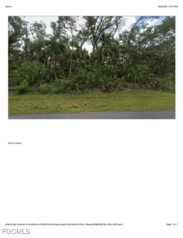 1607 Louis Avenue, Lehigh Acres, FL 33972 - Image #1