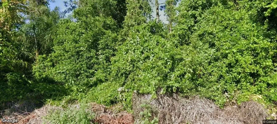 1557 Spring Lane, Lake Placid, FL 33852 - Image #2