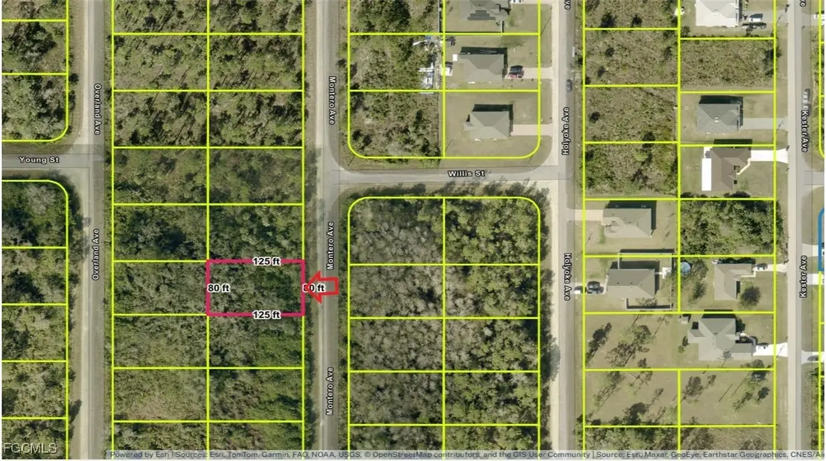 1917 Montero Avenue, Lehigh Acres, FL 33972 - Image #1