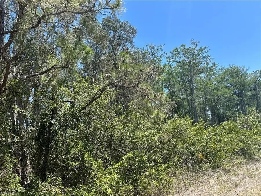 665 Knapp Street, Lehigh Acres, FL 33974 - Image #3