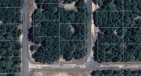 7120 N Veronica Drive, Dunnellon, FL 34433