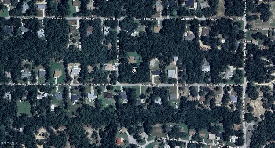 1255 E Bluebird Court, Hernando, FL 34442 - #2