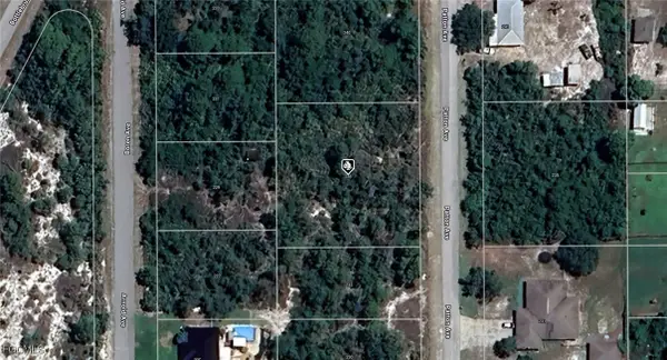 236 Patton Avenue, Lake Placid, FL 33852