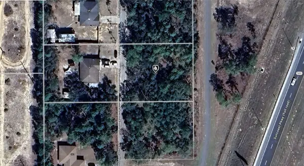 333 S Raymo Terrace, Lecanto, FL 34461