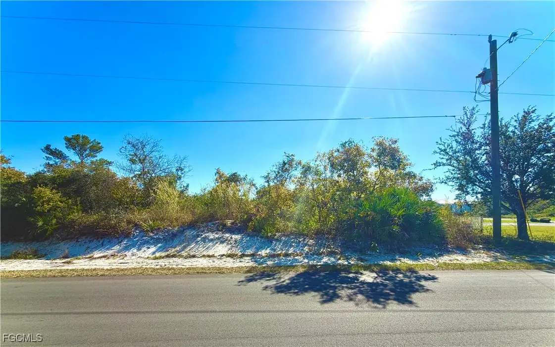 157 Cumberland Street, Lake Placid, FL 33852 - #1