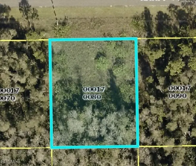 552 Knapp Street, Lehigh Acres, FL 33974 - #1